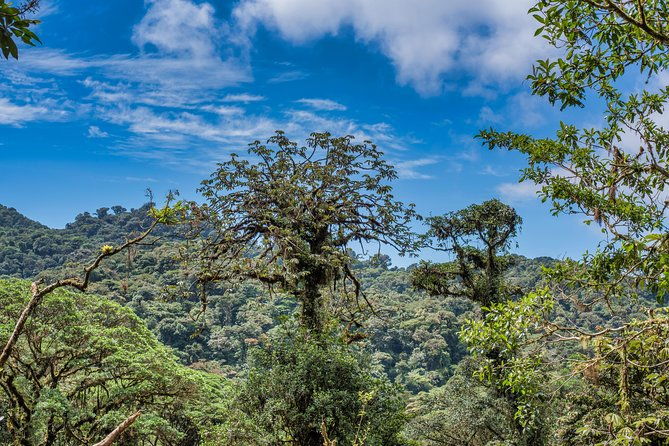 hanging-bridges-tour-guide-from-monteverde