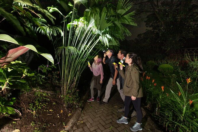hanging-bridges-twilight-walk-in-arenal-volcano