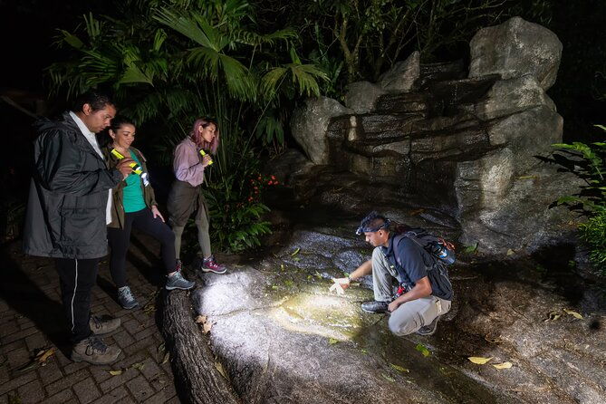 hanging-bridges-twilight-walk-in-arenal-volcano