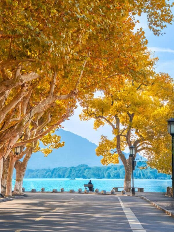 Hangzhou: Ancient to Future Private Day Tour with Boat Ride - The Sum Up