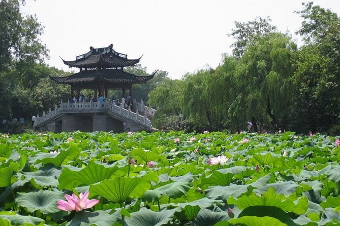 Hangzhou Heaven on Earth Full Day Private Tour from Shanghai - A Deep Dive into the Hangzhou Experience