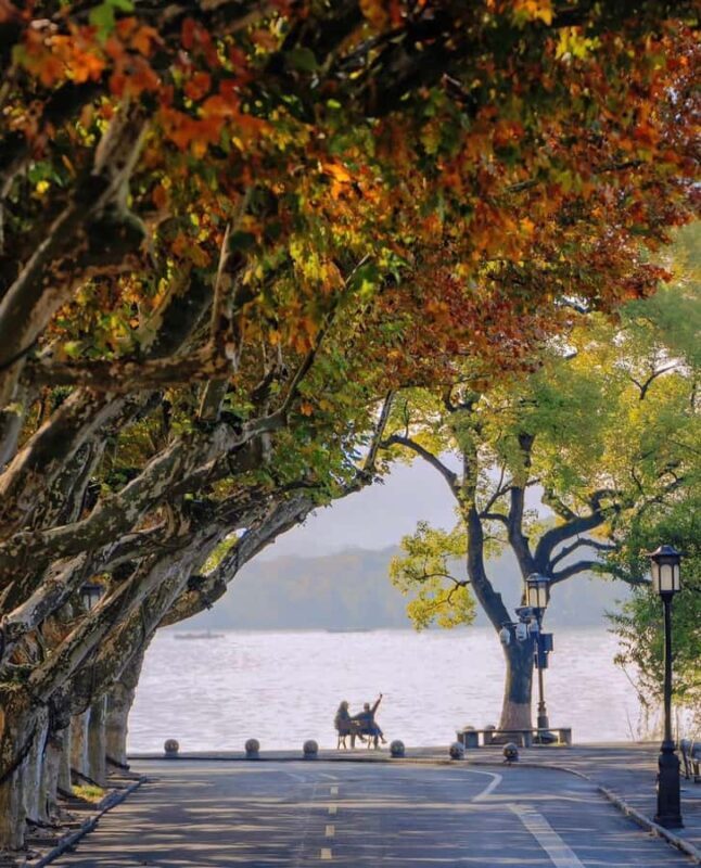 Hangzhou Highlights: West Lake, Silk Culture & Art Workshop - Key Points