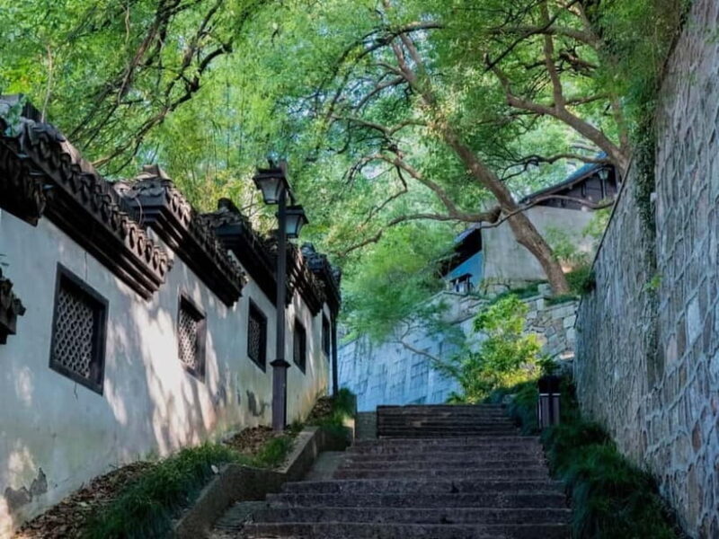 Hangzhou Insider Mini-Hike: TCM, Hill Views and Wet Market - What’s Included and What to Consider