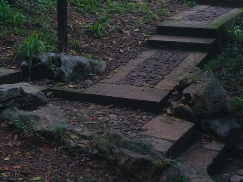 Hangzhou Insider Mini-Hike: TCM, Hill Views and Wet Market - Final Thoughts: Is It Worth It?