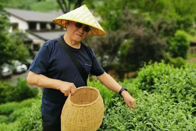 Hangzhou Longjing Tea Culture Immersive Experience Tour - What’s included and what to consider