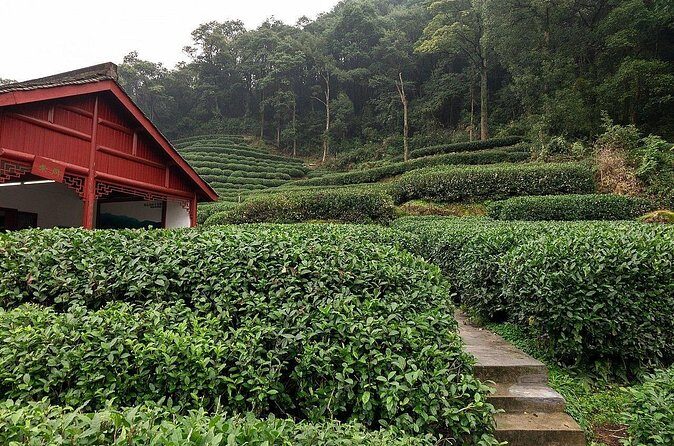 Hangzhou Private Departure Transfer: Hotel to Railway Station - FAQs