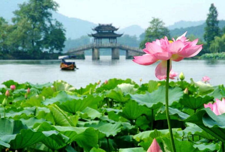 hangzhou-private-one-day-trip-from-shanghai-by-bullet-train