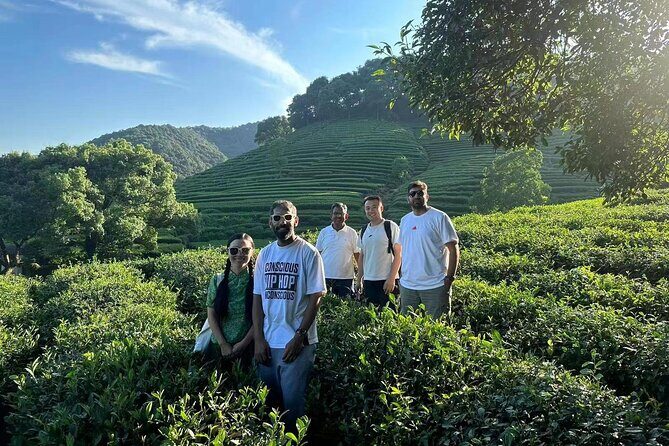 Hangzhou Private Tour from Shanghai by Bullet Train - Key Points