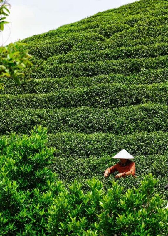 Hangzhou Tea Tour: Villages, Lakes & Whisked Tea Experience - Key Points