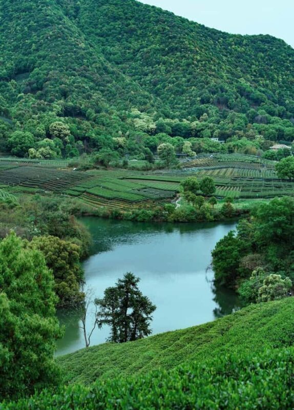 Hangzhou Tea Tour: Villages, Lakes & Whisked Tea Experience - Authenticity and Value