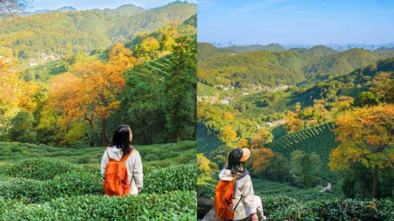 Hangzhou: Tea Village Photoshoot in Longjing - Key Points