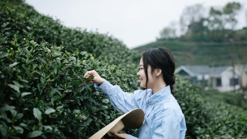 Hangzhou: Tea Village Photoshoot in Longjing - Exploring Longjing Tea Village: What You’ll Experience