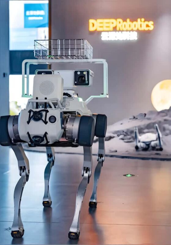 Hangzhou: Tech Discovery Tour with NEV Car Ride - Practical Details and Considerations