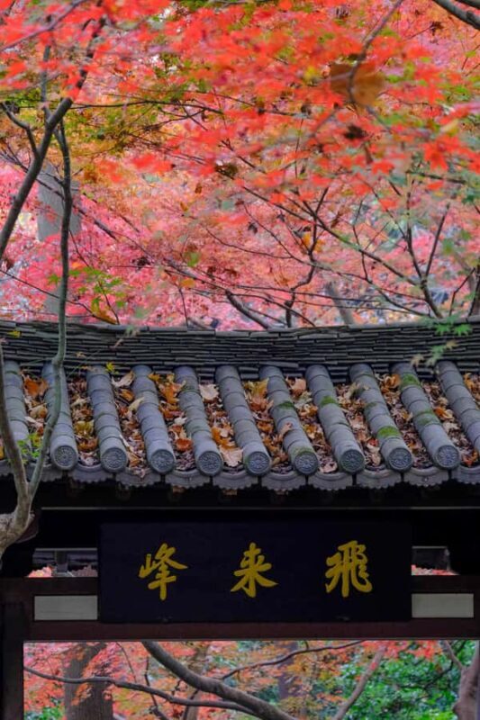 Hangzhou Temples Trail: Explore Lingyin, Faxi, and Yongfu - Key Points