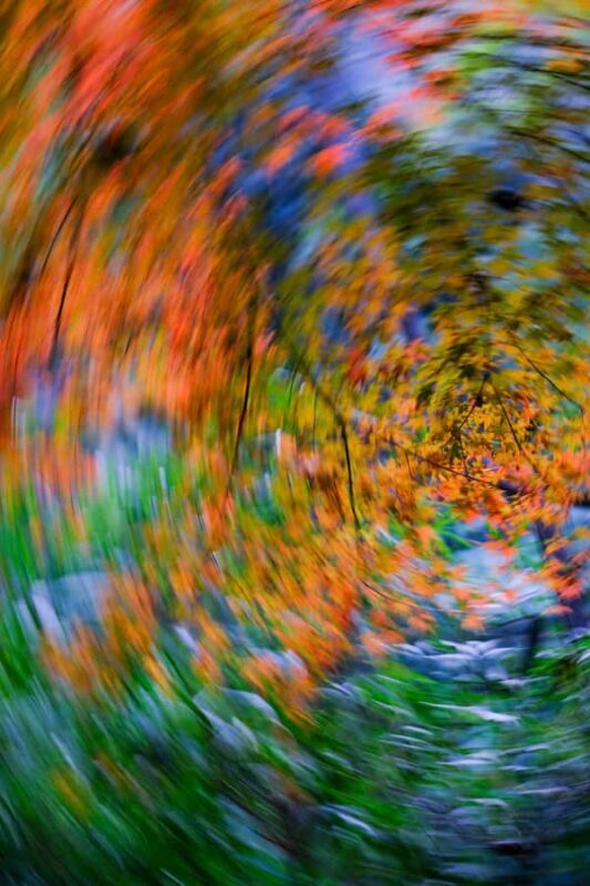 Hangzhou Temples Trail: Explore Lingyin, Faxi, and Yongfu - FAQ