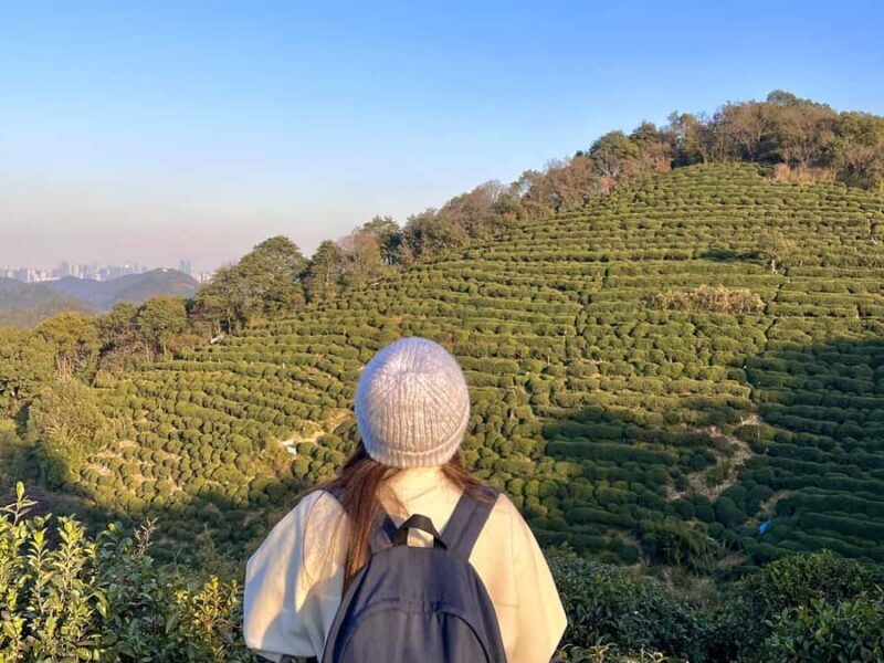 Hangzhou: UNESCO Tea Culture Experience  Hand Fry & Taste - Who Will Love This Tour?