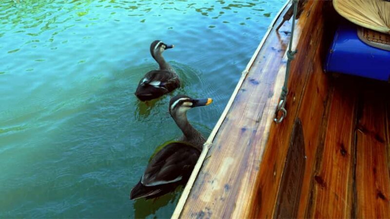 Hangzhou: West Lake Yuloh Boat with Local Guide - Introduction: A Peaceful Way to Discover West Lake