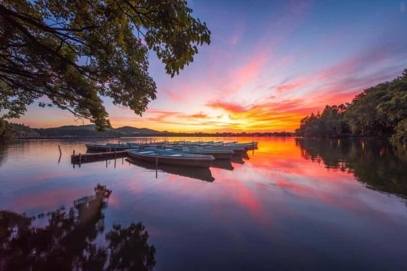 Hangzhou:Cultural and World Heritage Tour with Private Guide - Key Points