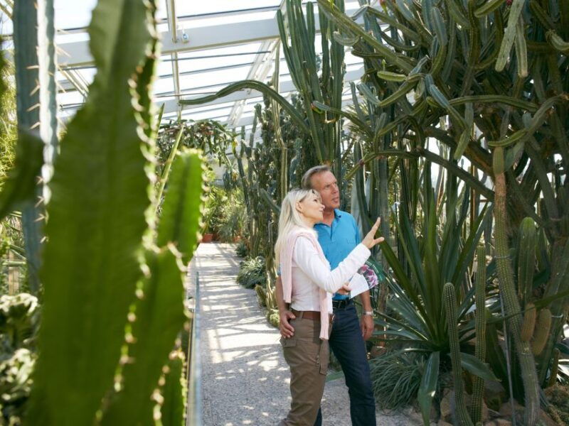 hannover-guided-tour-of-the-berggarten