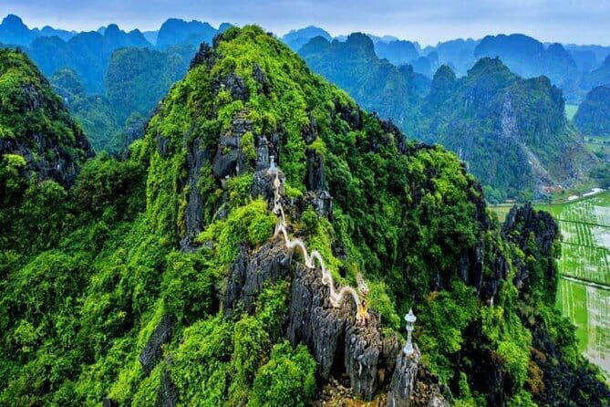 Hanoi: 2-Day Halong Bay Royal Palace Cruise, Cave, Ti Top Island - Who Will Love This Experience?