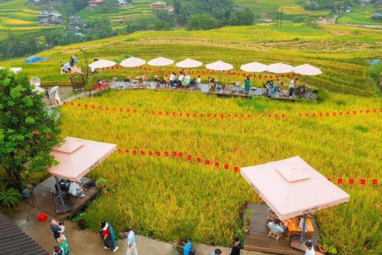 hanoi-2-days-sapa-phansipan-and-trekking-with-5-stars-hotel