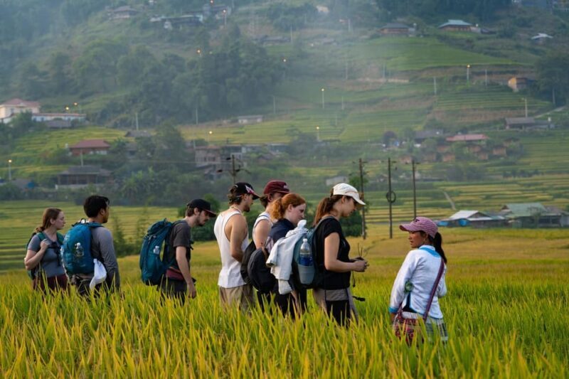 Hanoi: 2 Days Sapa Trekking Trip with Local Guide & Homestay - An Authentic 2-Day Adventure in Sapa