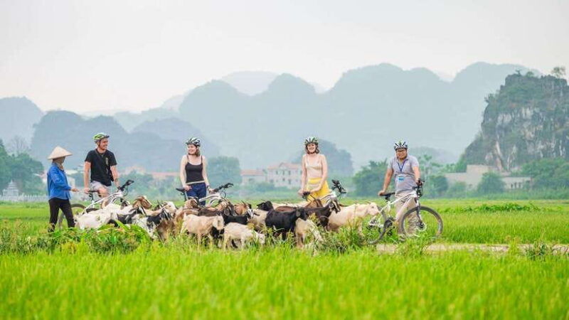 hanoi-2d-1n_-ha-long-1day-ninh-binh-full-day-and-bungalow