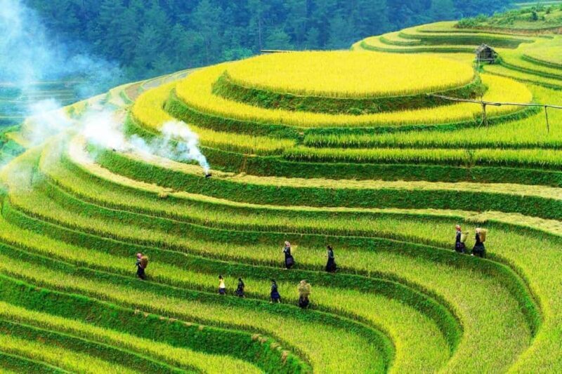 Hanoi: 3-Day Adventure Rice Terraces and Fansipan Summit - A Closer Look at the Itinerary