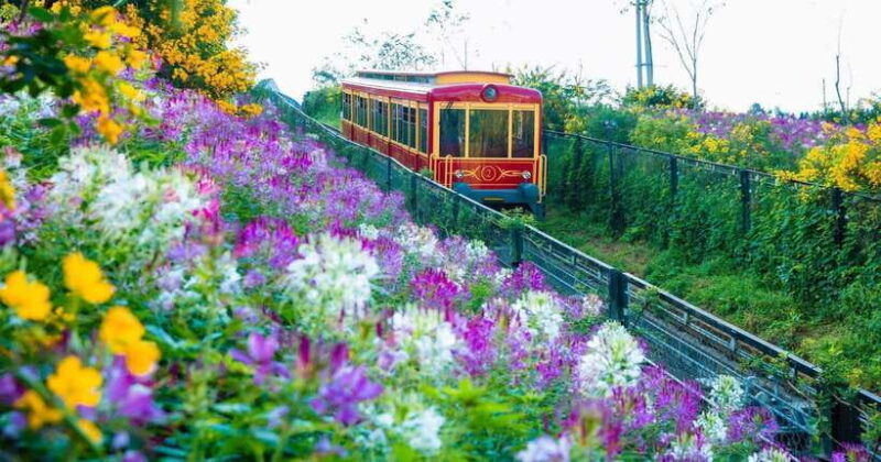 hanoi-3-day-authentic-sapa-trekking-fansipan-by-cable-car