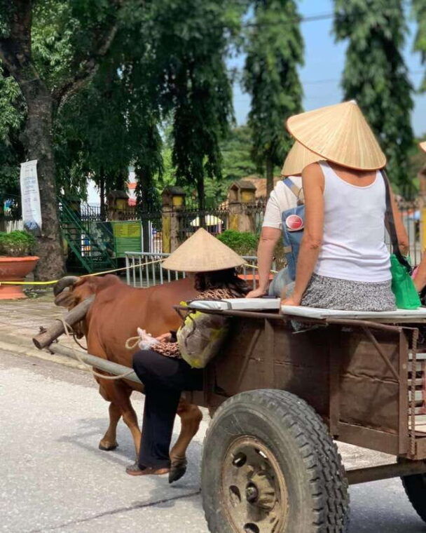 hanoi-3-day-authentic-sapa-trekking-fansipan-by-cable-car