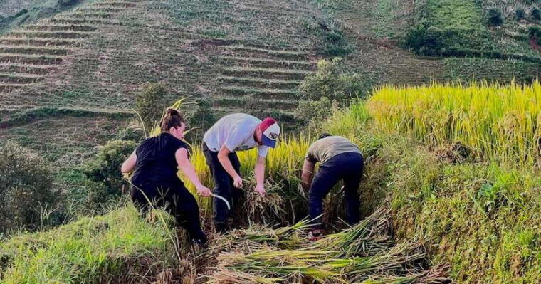 hanoi-3-day-mu-cang-chai-trekking-hidden-trail-local-life