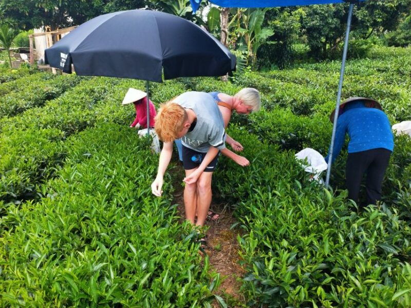 hanoi-3-day-tour-to-ban-gioc-waterfall-and-ba-be-lake