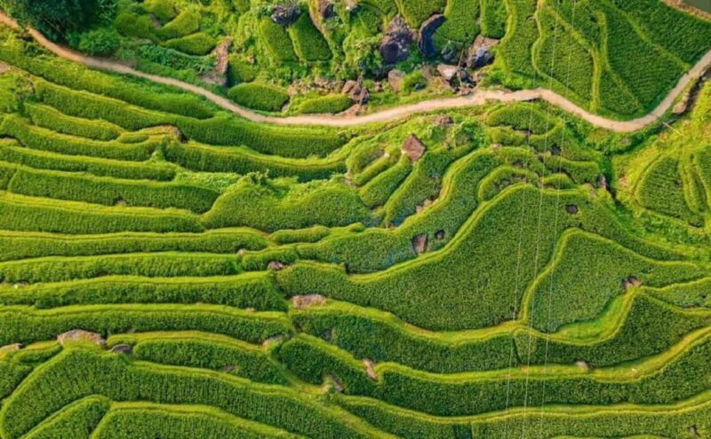 Hanoi: 4-day tour Immersion in the heart of the villages of northern Vietnam - Day 1: From Hanoi to Mai Hich and Puluong