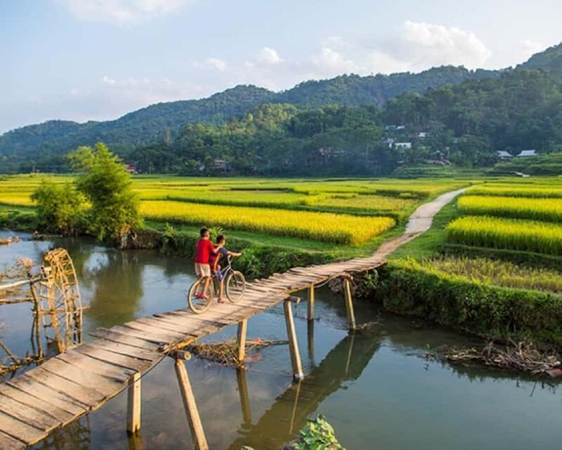 Hanoi: 4-day tour Immersion in the heart of the villages of northern Vietnam - Day 4: Coastal and Estuarine Wonders near Xuan Thuy