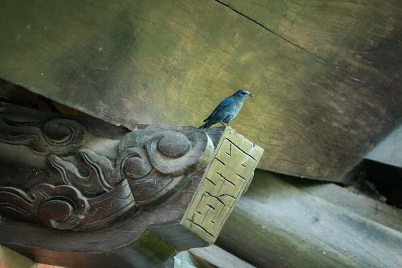 Hanoi: Bai Dinh Pagoda & Toy Village or Hat, Incense Village - The Sum Up