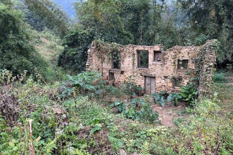 hanoi-ban-gioc-waterfall-to-hidden-village-trekking-tour