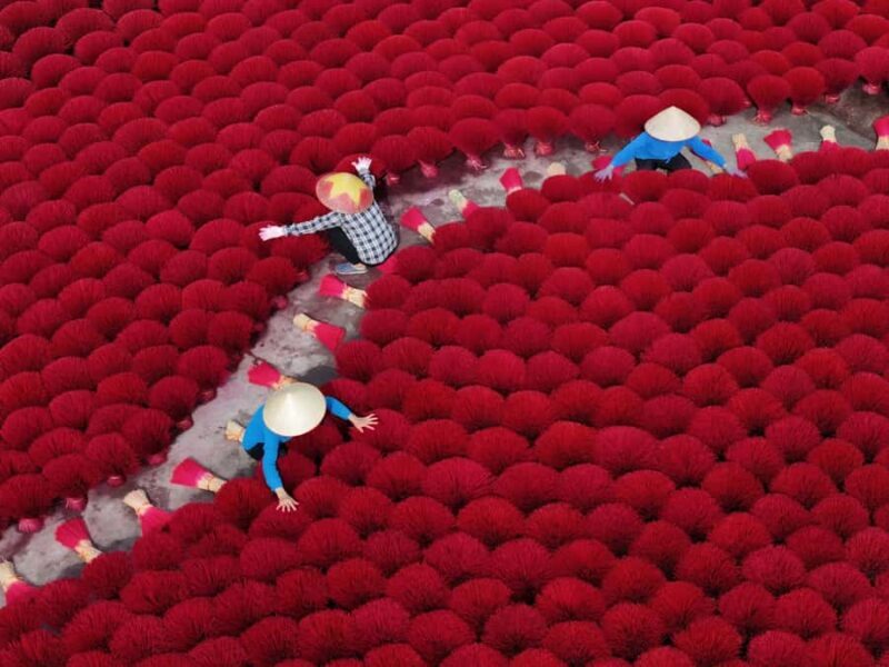 Hanoi: Bird Park & Bach Ma Temple Or Hat & Incense Village - An In-Depth Look at the Tour Itinerary