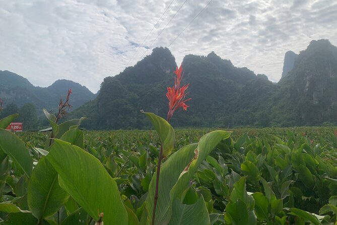 Hanoi - Cao Bang city - Ban Gioc Warterfall 2days/2nights ED7 - Who Will Love This Tour?