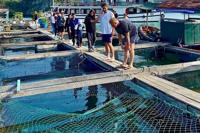 Hanoi- Cat Ba 2D1N: Hike Cat Ba National Park& Explore Lan Ha Bay - What Makes This Tour Stand Out?