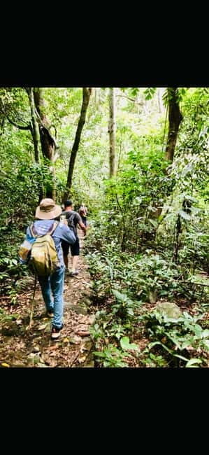 Hanoi: Cat Ba National Park Adventure Day Tour - What Makes This Tour Stand Out