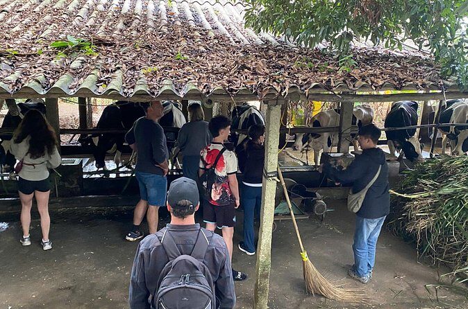 Hanoi Day-In-The-Life & Farm-to-Table Cooking Class  6 Hours - Transportation, Timing, and Group Size