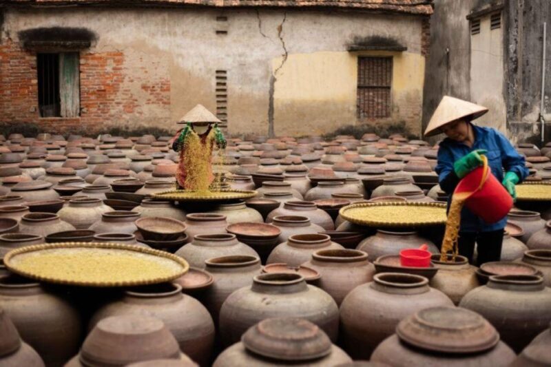Hanoi: Day Trip to Bamboo Fish Trap & Soy Sauce Villages - Who Should Consider This Tour?