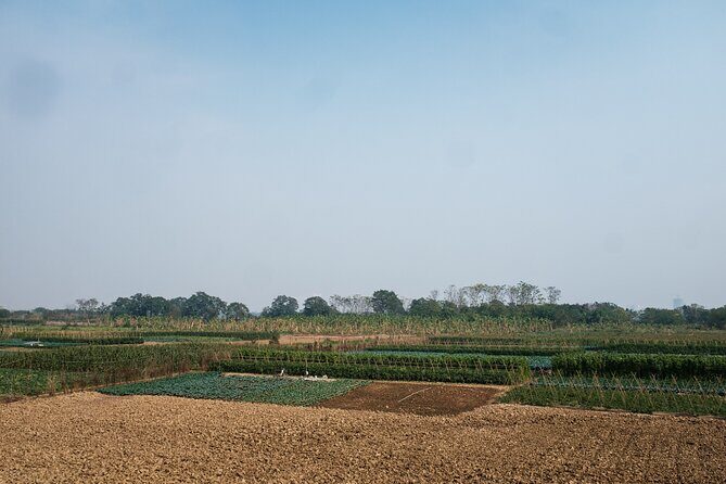 Hanoi E-Bike Tour - Off The Beaten Path Adventure - What Reviewers Love Most