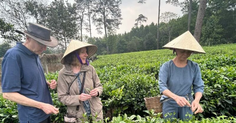 Hanoi Eco Tour: Ba Vi National Park Wonders & Tea Plantation - Practical Considerations