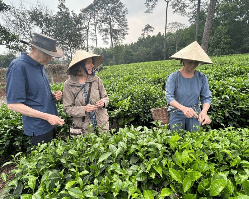 Hanoi Eco Tour: Ba Vi National Park Wonders & Tea Plantation - Final Thoughts: Who Will Love This Tour?