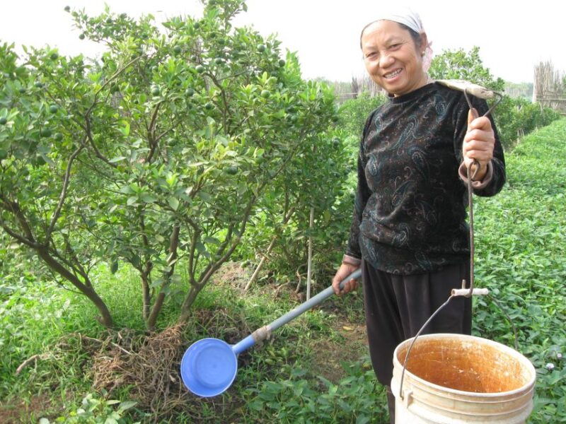 hanoi-farm-tour-and-cooking-class-with-local-family