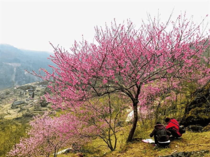 hanoi-ha-giang-loop-tour-3-days-2-nights-with-easy-rider-2