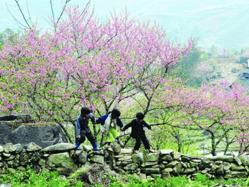 hanoi-ha-giang-loop-tour-3-days-2-nights-with-easy-rider-2