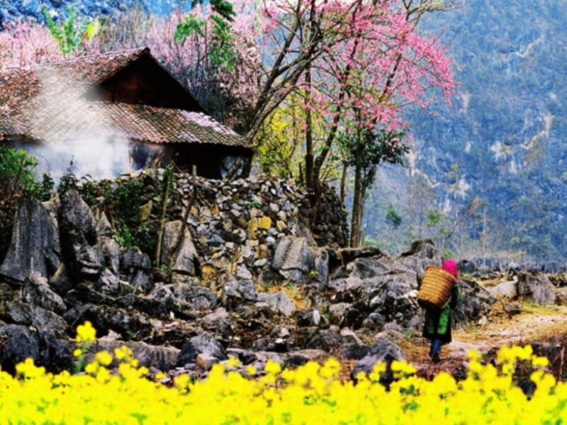 hanoi-ha-giang-loop-tour-3-days-2-nights-with-easy-rider