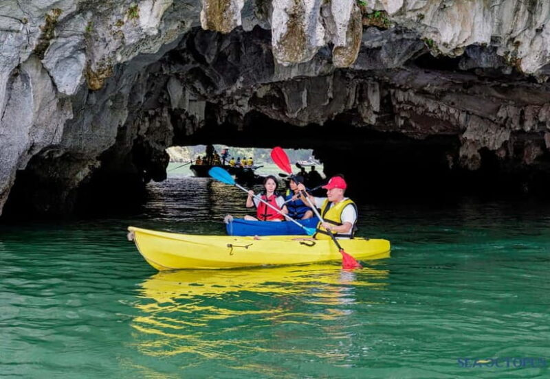 Hanoi: Ha Long Bay Day Tour by Sea Octopus Cruise - Who Will Love This Tour